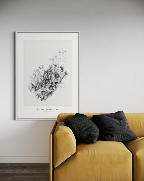 IMG_8308.JPG