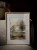 IMG_2051.jpeg